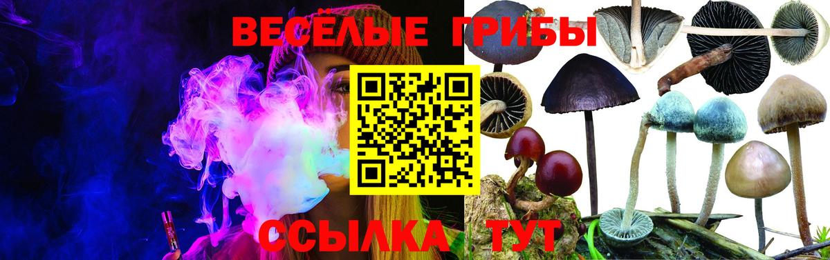 Галлюциногенные грибы MAGIC MUSHROOMS  Вход с VPN  Галлюциногенные грибы MAGIC MUSHROOMS  Вятские Поляны 