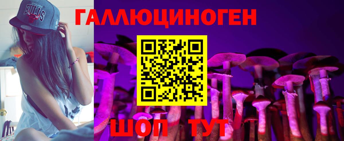 Псилоцибиновые грибы MAGIC MUSHROOMS Вятские Поляны